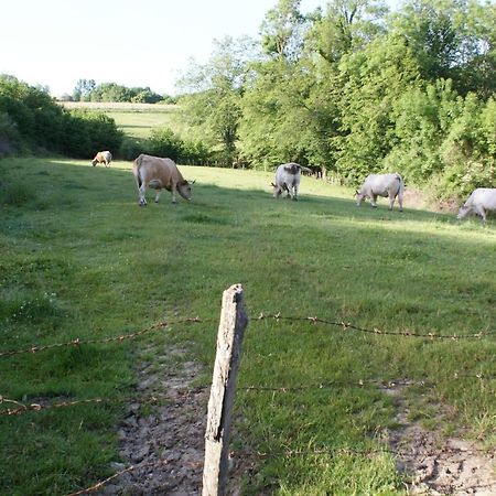 Alain Et Flo Bed & Breakfast Charancieu Bagian luar foto