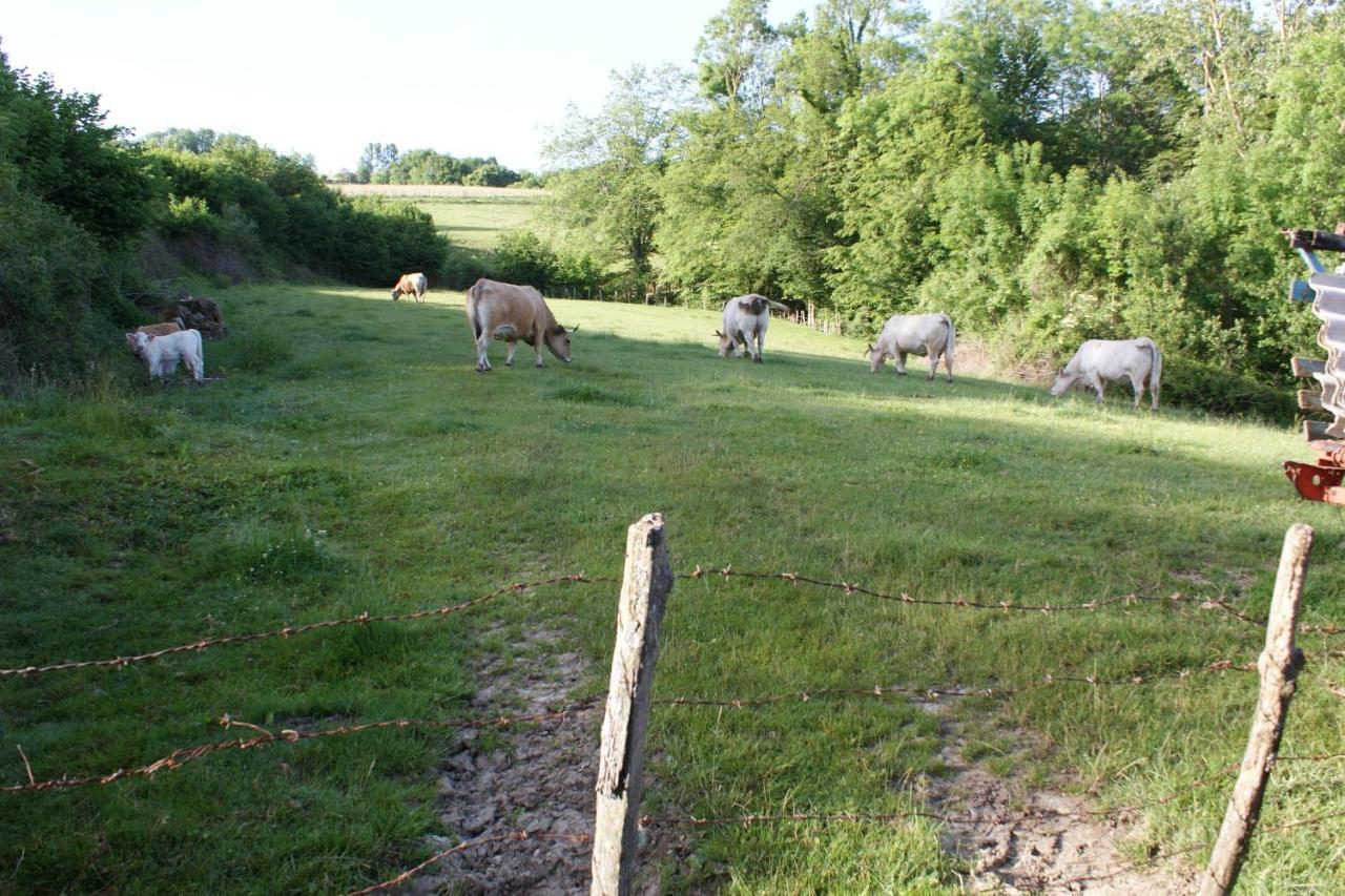 Alain Et Flo Bed & Breakfast Charancieu Bagian luar foto